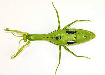 Amazon.co.jp: カマキリ ラジコン Mantis Radio Controlled : おもちゃ