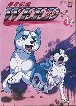 518vPezQTuL._AC_UF350,