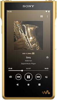 Amazon.com: Sony NW-WM1ZM2 256GB Signature Series Premium Digital