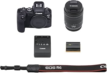 Amazon.com : Canon EOS R6 Mirrorless Digital Camera with 24-105mm