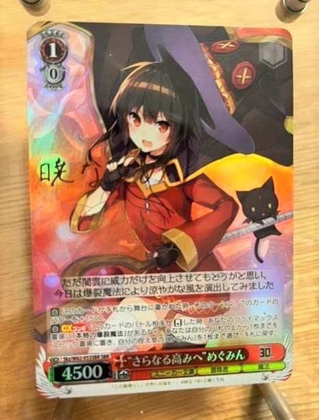 めぐみん SP 虹 PSA10 めぐみん SP 虹 PSA10 【公式通販】