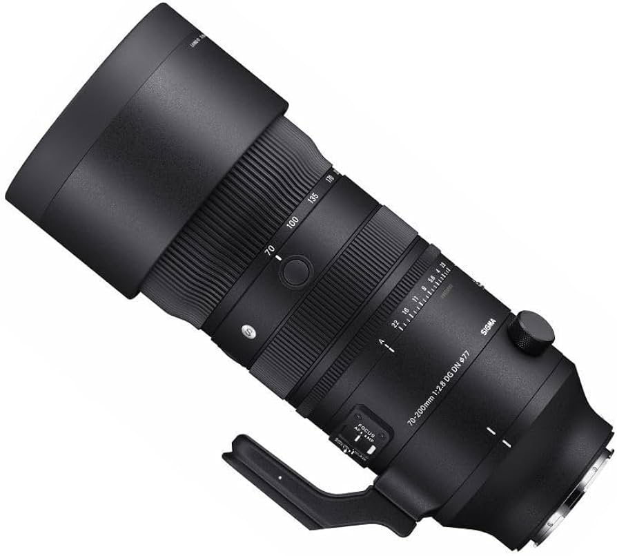 Amazon.com : Sigma 70-200mm F2.8 DG DN OS for L-Mount : Electronics
