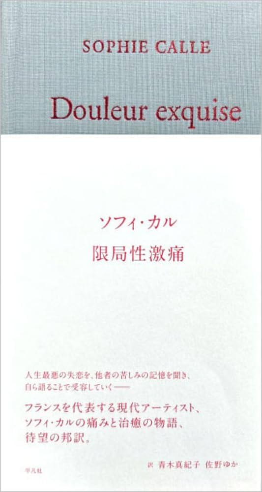 Amazon.co.jp: 限局性激痛 : ソフィ・カル, 青木 真紀子, 佐野 ゆか: 本