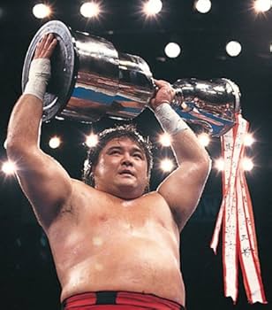 51-bW83WNWL._AC_UF350,