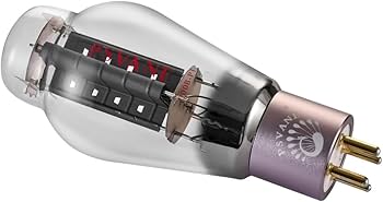 Amazon.co.jp: PSVANE 300B 真空管 Hifi マッチド 1本 正規代理品