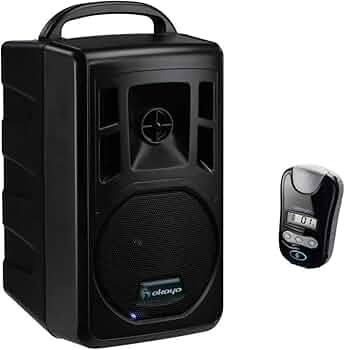 Amazon | 2.4GHzデジタルワイヤレスコンパクトスピーカー（最大60W）+