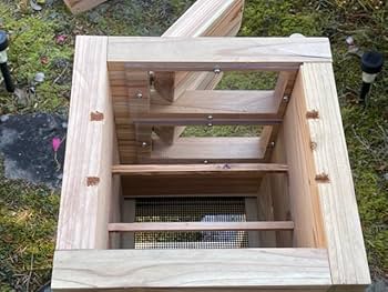 511yzbJmwmL._AC_UF350,