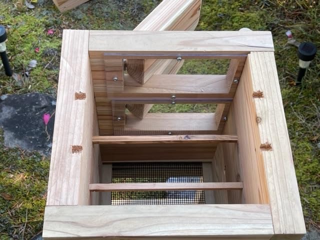 Amazon.co.jp: 日本みつばち用 飼育箱 重箱式巣箱 板厚35mm 観察窓1窓