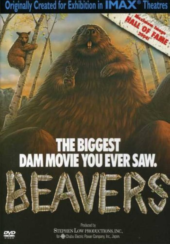 Amazon.com: Beavers (Large Format) : Earl Pennington, Stephen Low