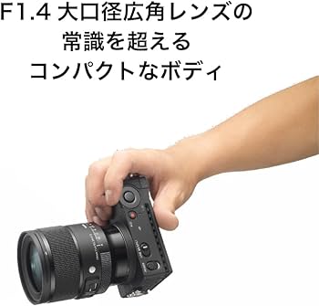 Amazon.co.jp: シグマ(Sigma) レンズ 24mm F1.4 DG DN Lマウント 単