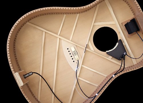 Amazon.co.jp: L.R.Baggs ◇上位バージョン Anthem