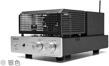 Amazon.co.jp: RFTLYS EA1A A 級 アンプEL34 真空管 ステレオ