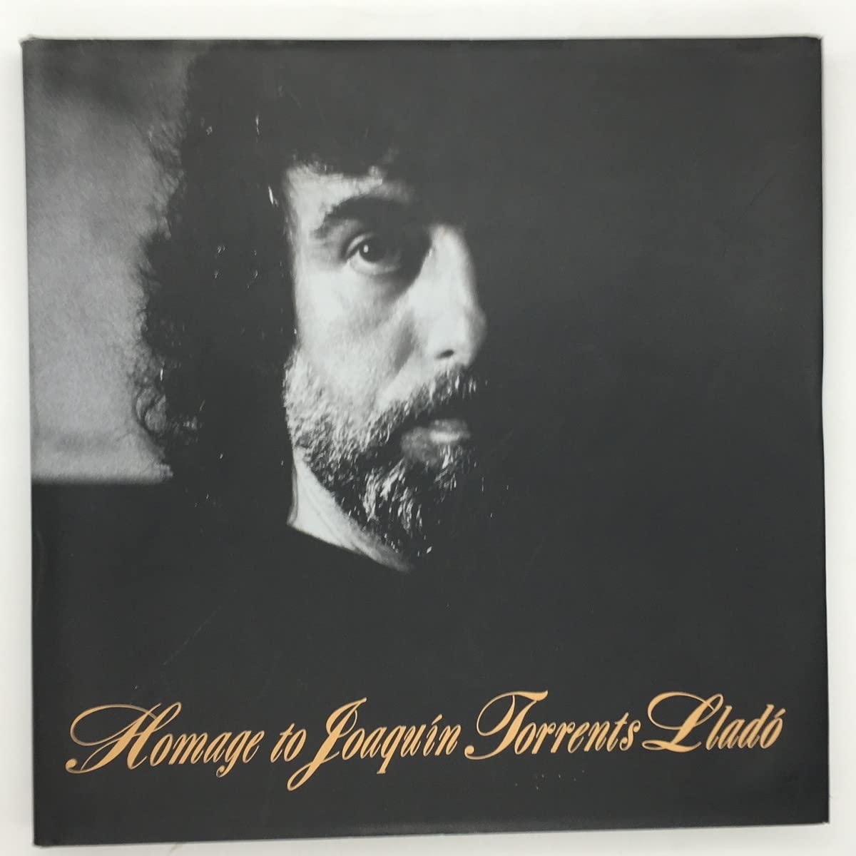 Amazon.co.jp: 画集J.トレンツリャド 「Homage to Joaquin Torrents