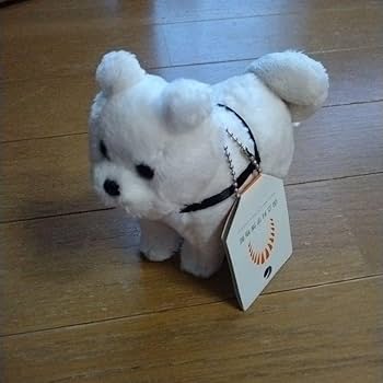 Amazon.co.jp: 国立科学博物館 忠犬ハチ公 マスコット ぬいぐるみ ハチ