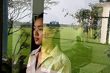 Amazon.co.jp: 光りの墓/世紀の光 Blu-ray : ジェンジラー・ポンパット