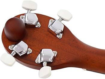 Amazon.co.jp: K.Yairi 奏生 カナイ N 一五一会 (Kヤイリ) : 楽器