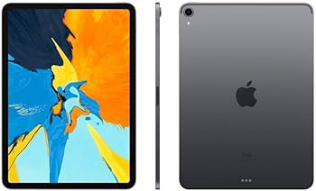 iPad Pro 11 256G スペースグレイ 純正カバー、アップルペンシル付
