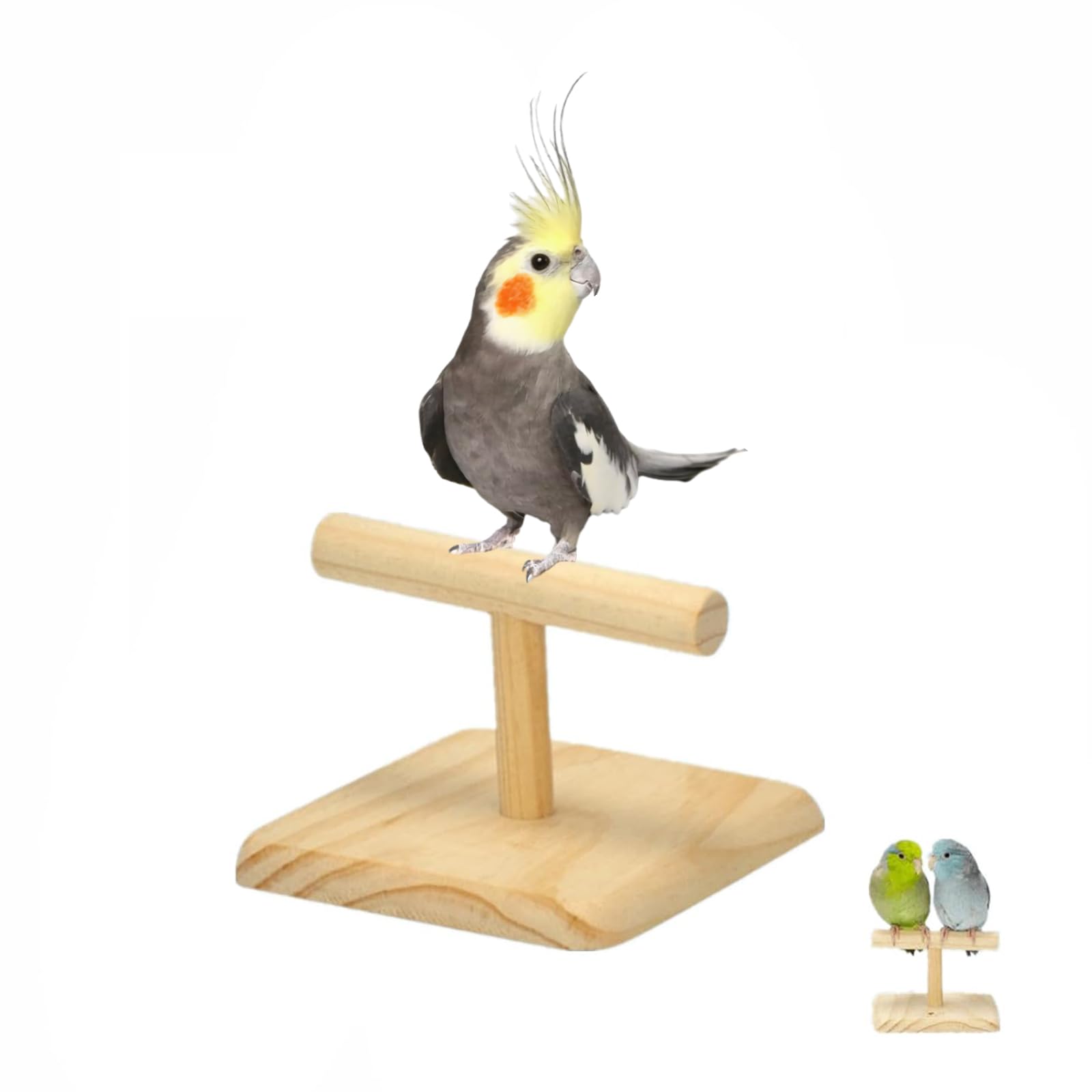 Amazon | SASATO インコ 止まり木 スタンド T字止まり木 天然木 鳥