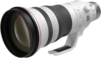 Amazon.com : Canon RF400mm F2.8 L is USM : Electronics