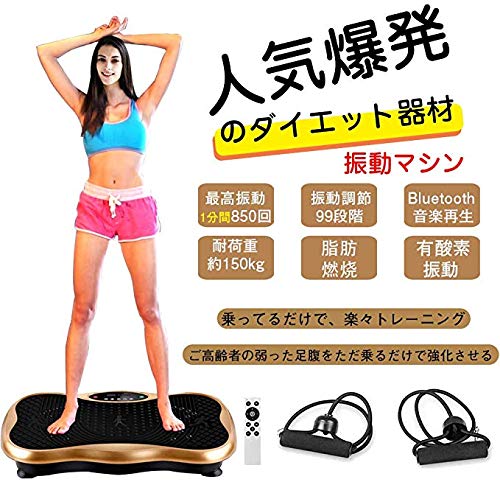 ダイエット運動不足に美品・定価8万 マックスバーン 白バランスボード