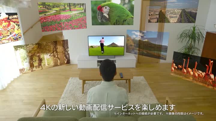 Amazon.co.jp: Panasonic TH-49DX600 49V LCD TV, 4K, Supports USB