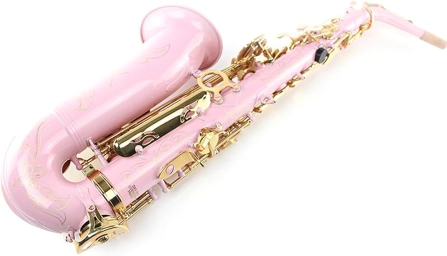 Amazon.co.jp: アルトサックス楽器、プロフェッショナル演奏楽器、真鍮