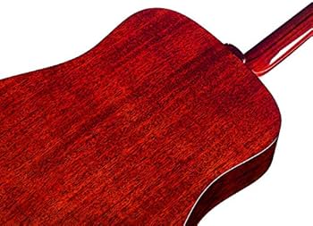 51uyB8FdouL._AC_UF350,