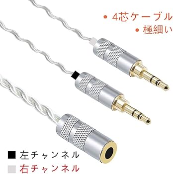 51v2FWcthUL._AC_UF350,