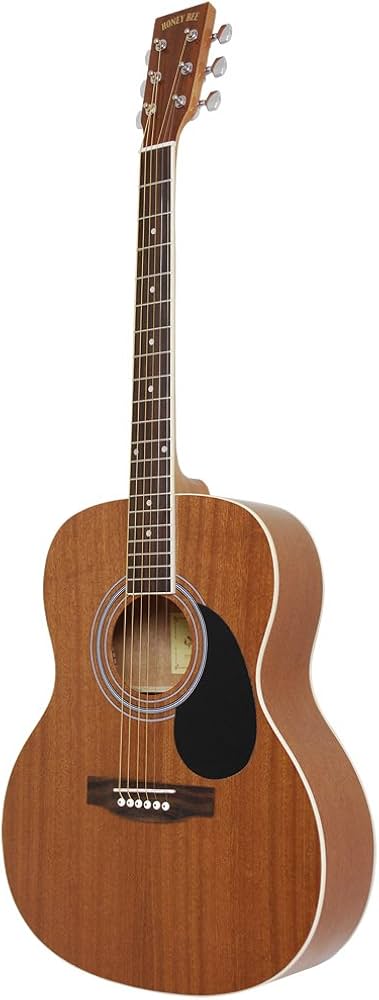Amazon | HONEY BEE ハニービー アコースティックギター フォーク