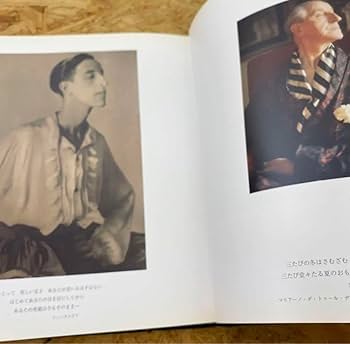 Amazon.co.jp: 絶版 陽の当たる場所 デビッドハミルトン写真集