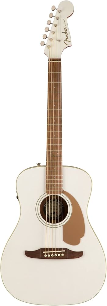 Amazon | Fender エレアコ Malibu Player, Arctic Gold ソフトケース