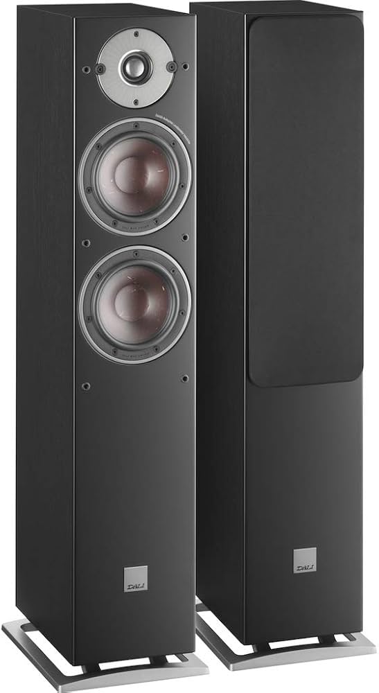 Amazon.co.jp: DALI(ダリ) OBERON 5 フロアスタンディングスピーカー