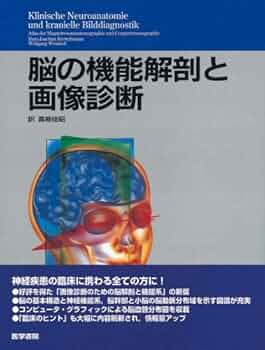 51wWms1eNEL._AC_UF350,