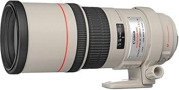 Amazon.com : Canon EF 300mm f/4L IS USM Telephoto Fixed Lens for