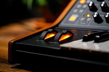 Amazon.co.jp: moog モーグ/Subsequent 25 アナログ・シンセサイザー