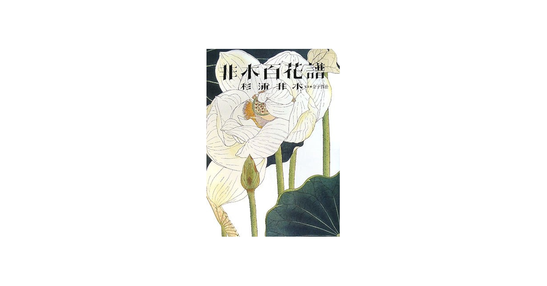 非水百花譜 | 杉浦 非水, 金子 賢治, 金子 賢治 |本 | 通販 | Amazon