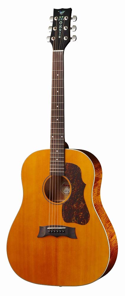 Amazon | Morris/G-021 VYL モーリス アコースティックギター