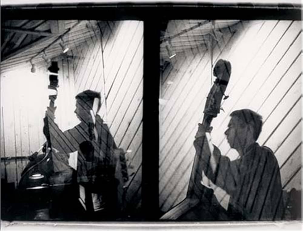 Pass the Mic: Beastie Boys 1991-1996: Ari Marcopoulos, Carlo