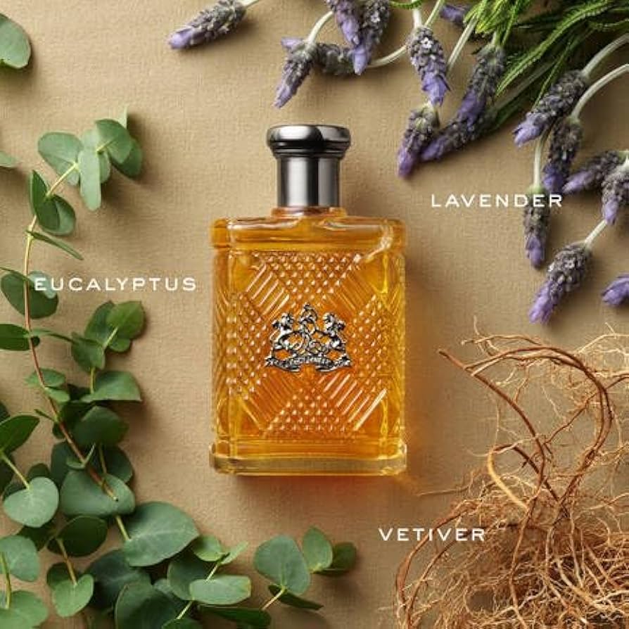 Amazon.com: RALPH LAUREN FRAGRANCES Safari - Eau de Toilette