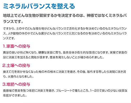 Amazon.co.jp: 消臭王GT-S 液体 無臭 10リットル 嫌な臭いを分解消臭