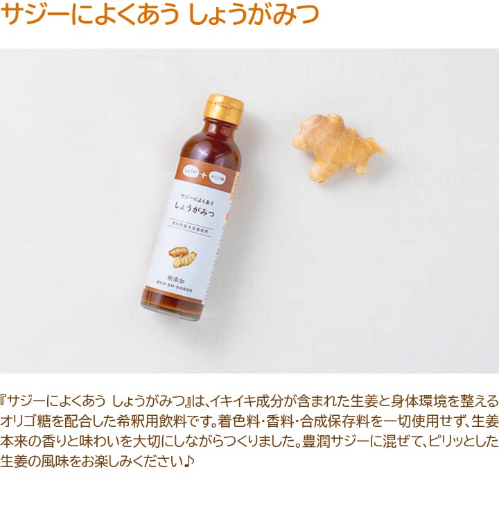 Amazon.co.jp: サジーによくあうしょうがみつ フィネス 豊潤サジー