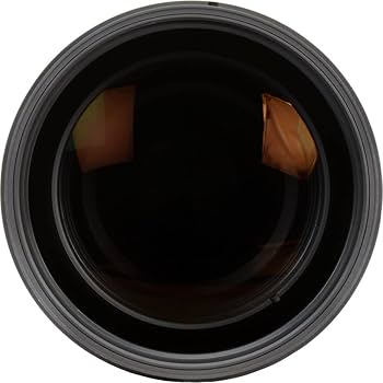Amazon.com : Sigma 150-600mm F5-6.3 DG Contemporary Lens for Nikon