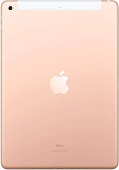 Amazon.com : Apple iPad 10.2 Inch (2019) Wi-Fi + Cellular 32 GB