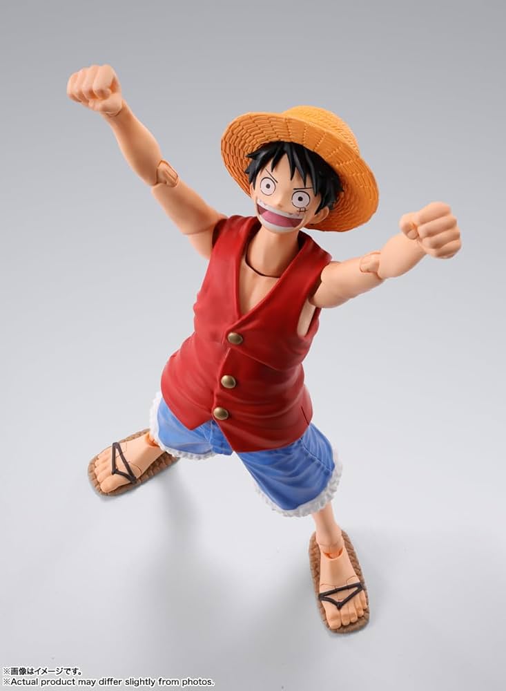 Amazon.co.jp: TAMASHII NATIONS S.H.フィギュアーツ ONE PIECE