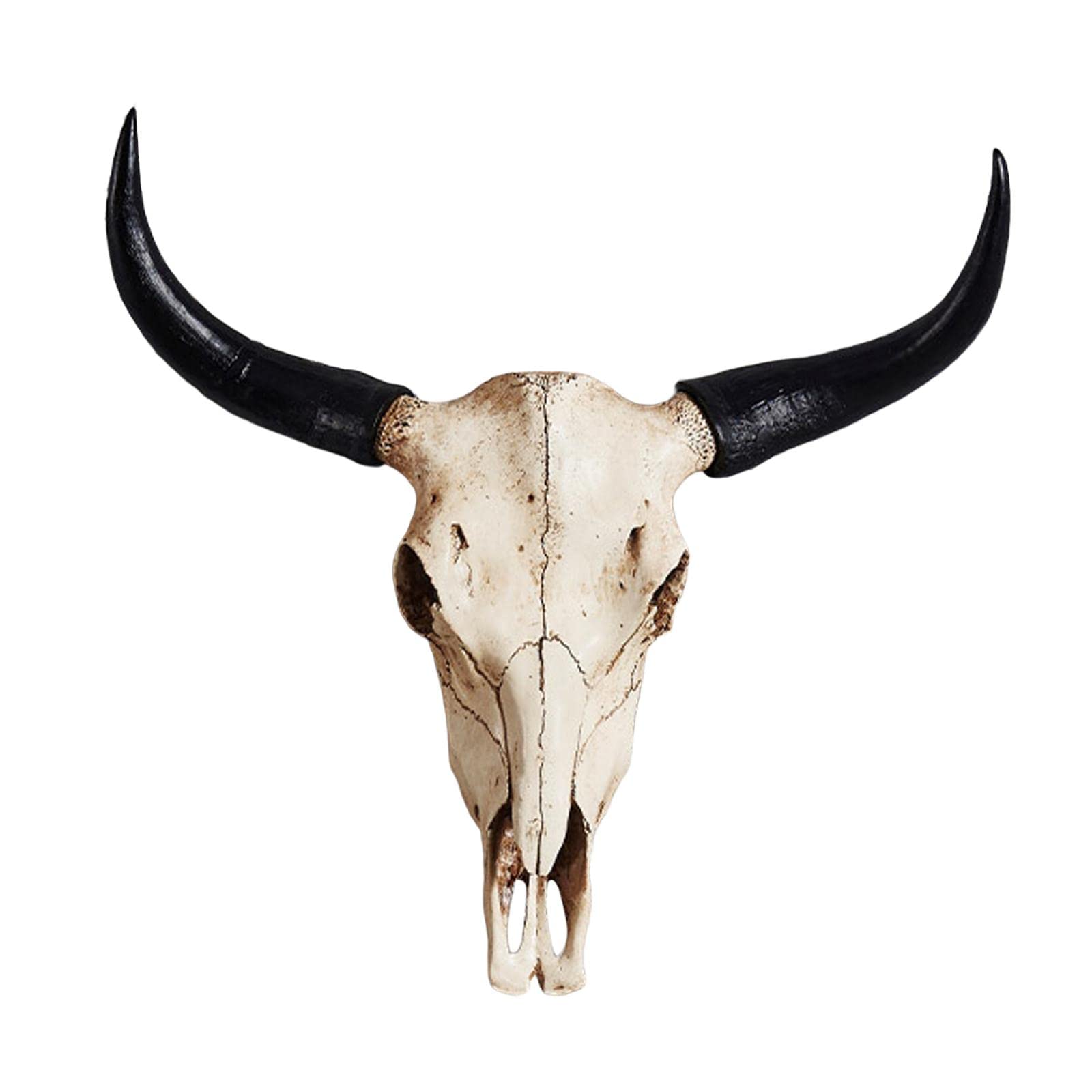 Amazon.co.jp: Folpus 雄牛の頭蓋骨 雄牛の頭の頭蓋骨 壁掛け 人工の