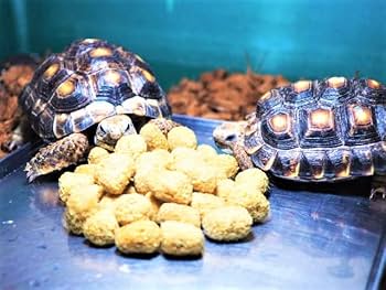 Amazon | 【マズリ社】トータスダイエット 5M21 1000g リクガメ フード