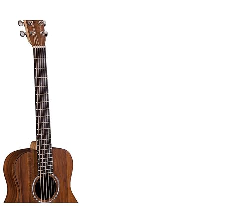 Amazon.com: Little Martin LXK2 Acoustic Guitar with Gig Bag, Koa
