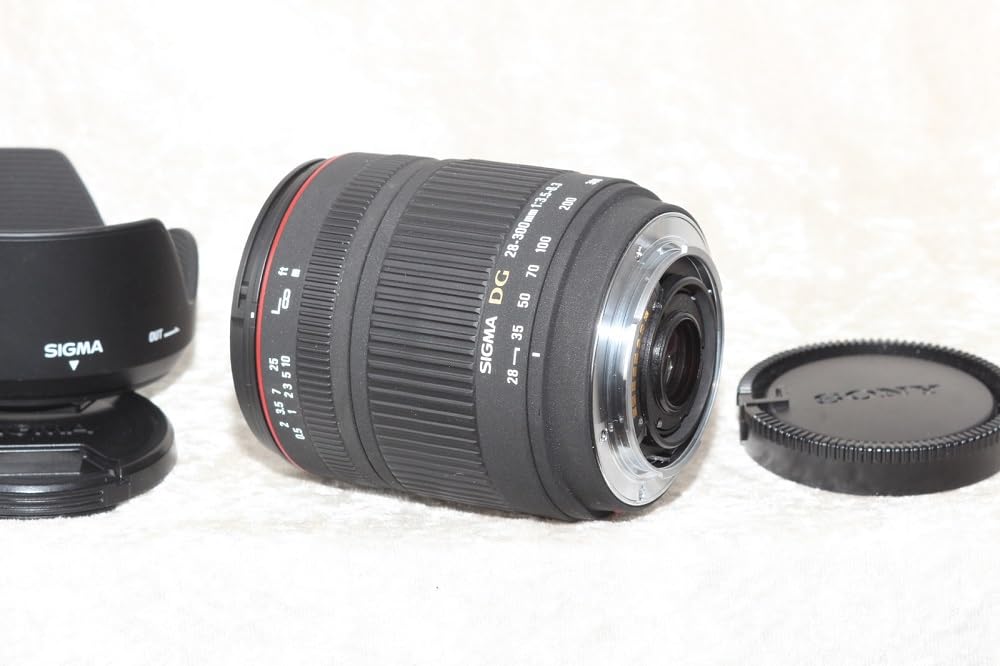 Amazon.co.jp: シグマ 28-300mm F3.5-6.3 DG MACRO ソニー用 : 家電