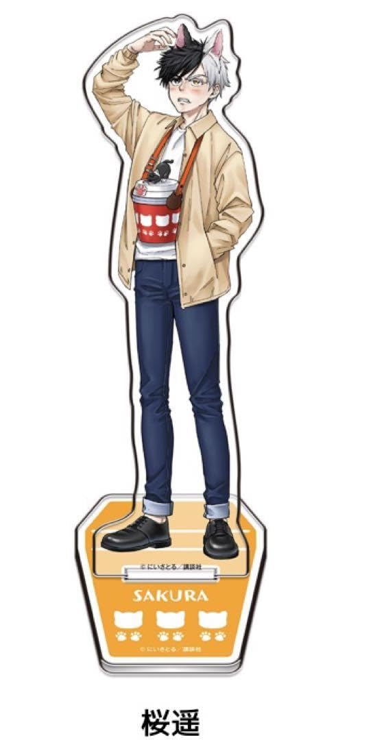 Amazon.co.jp: ナンジャタウン 桜遥 ウィンドブレーカー アクリル