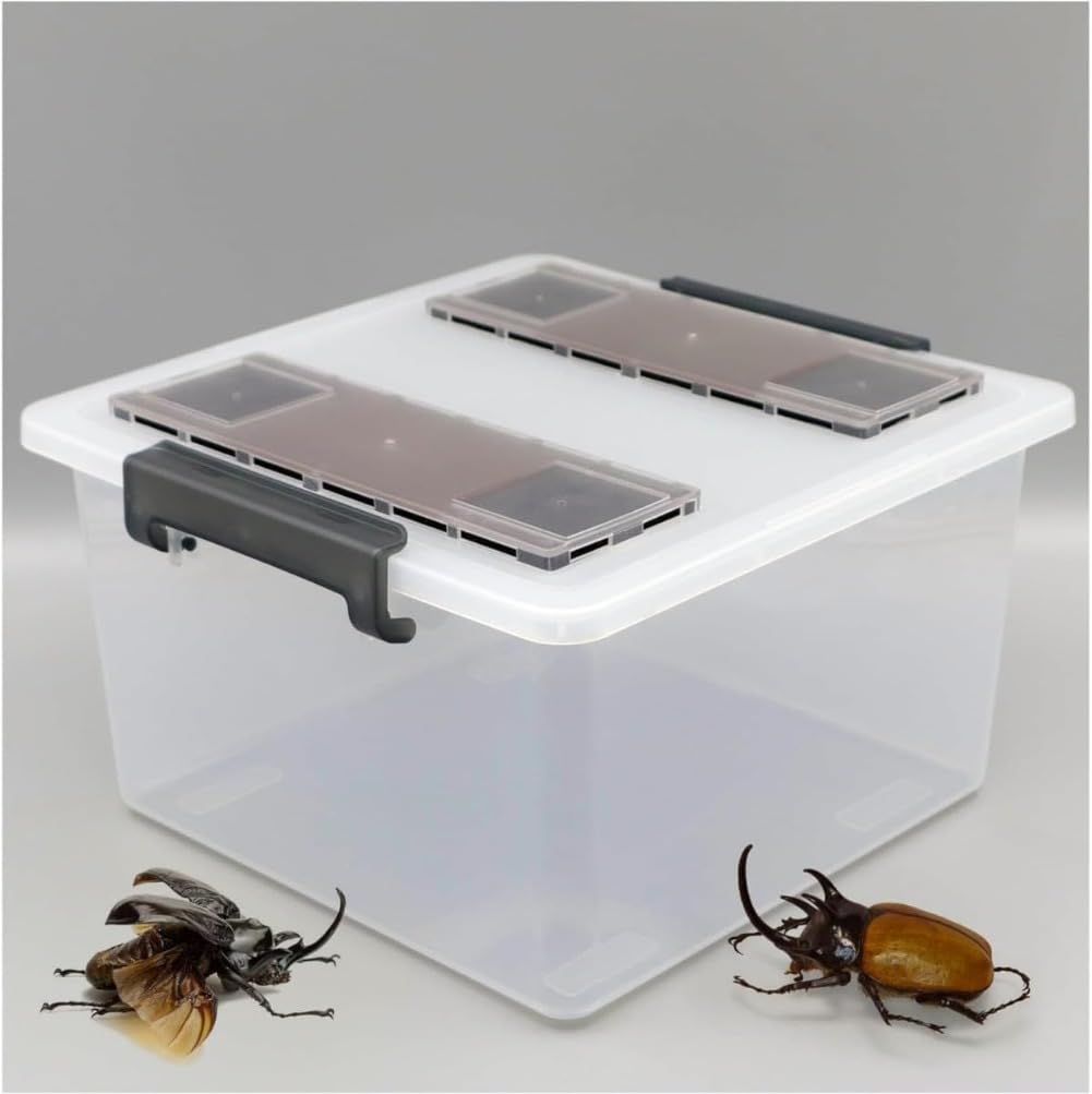 Amazon | 大きいクワガタカブトムシプロのケース 産卵用、幼虫飼育